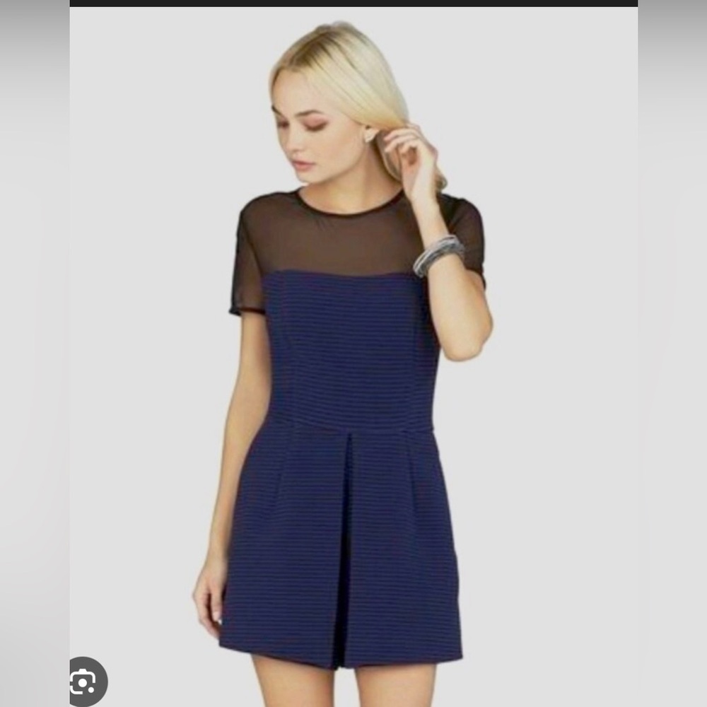 BCBG Navy and Black Sheer Sleeve Mini Dress